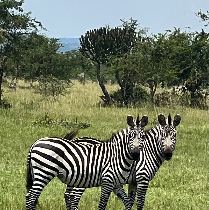 Chigo Tours Africa-坎帕拉必去景点
