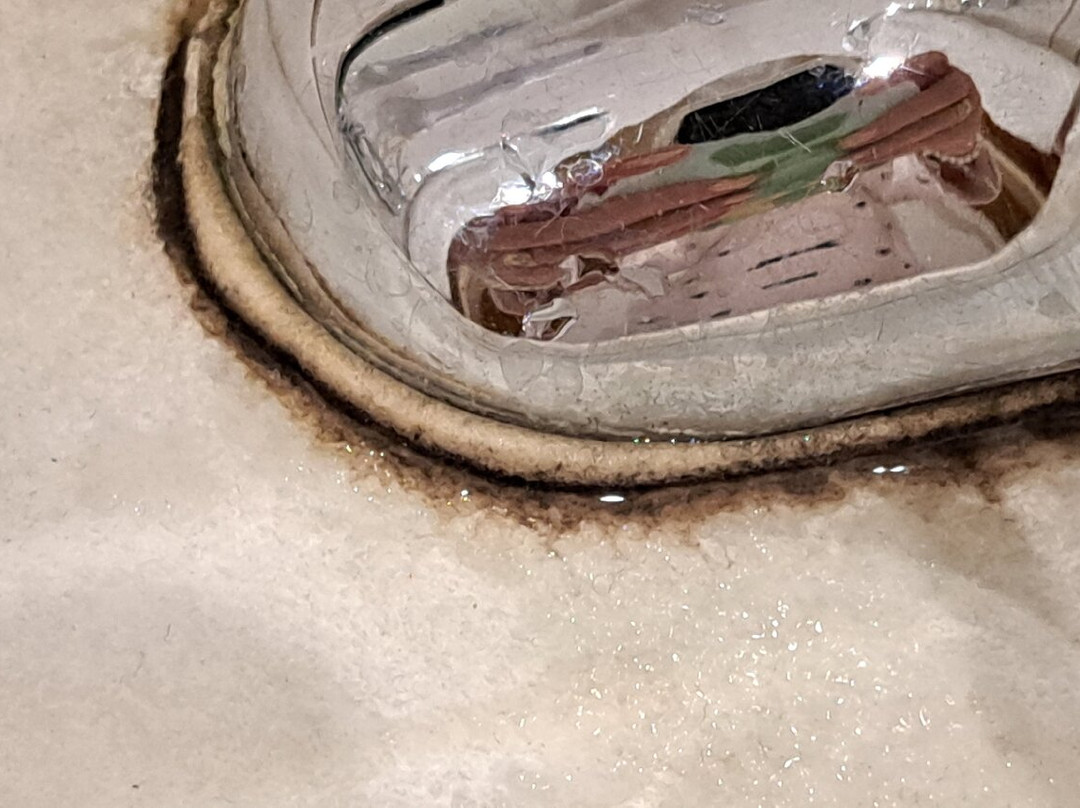 普罗夫迪夫特里蒙蒂厄姆温德姆华美达酒店主图