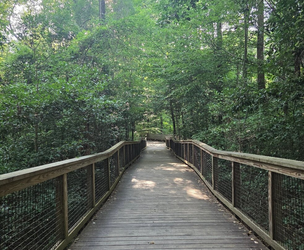 Congaree National Park-Hopkins必去景点