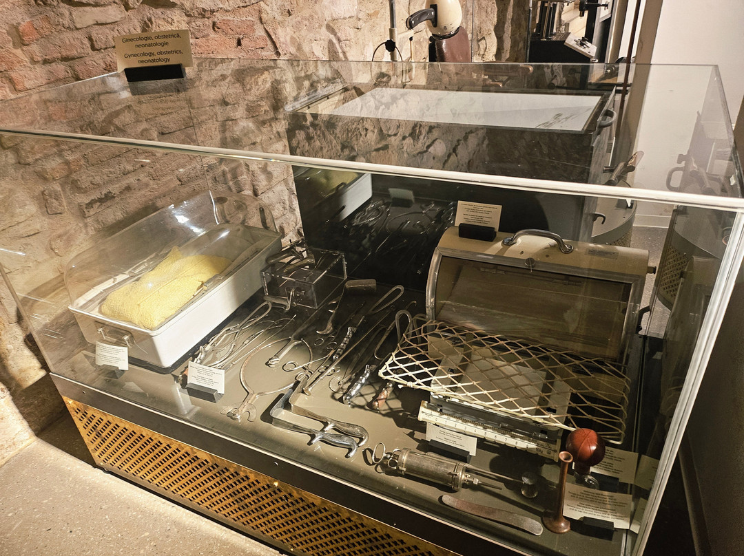 The Pharmacy Museum Cluj  - Mnit-克卢日-纳波卡必去景点