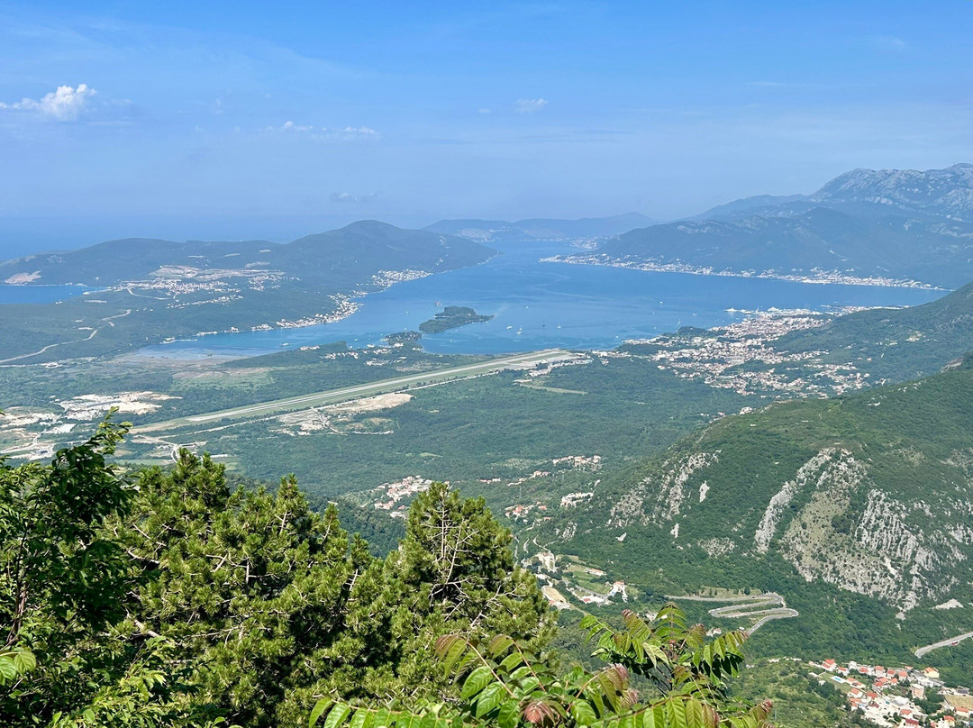 Kotor Serpentine