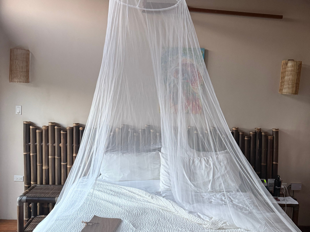 Jungle Bay Dominica主图