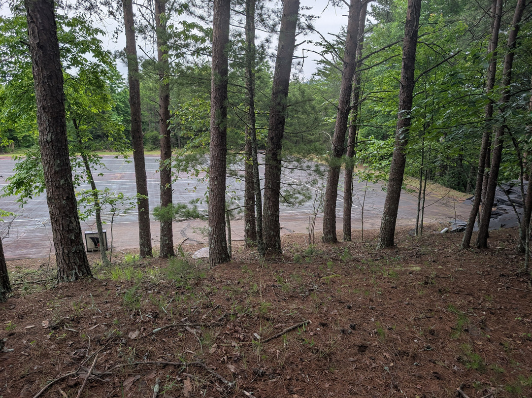 The Ellijay Resort