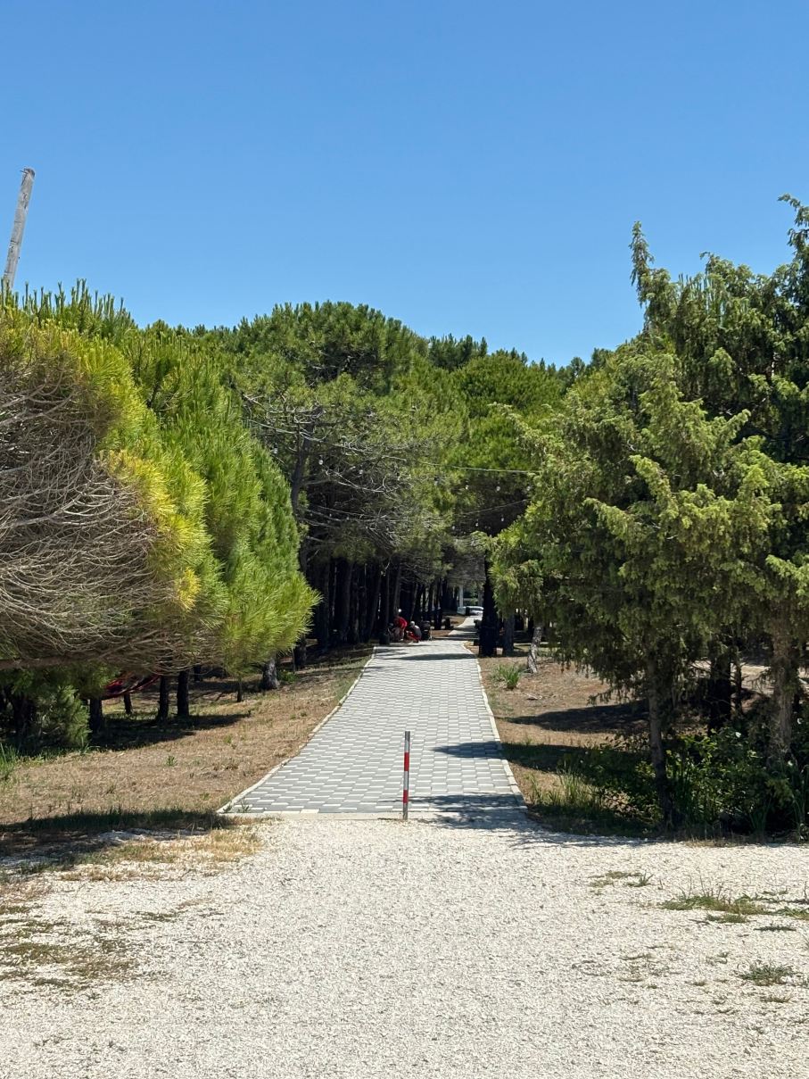Amber Hotel Albania 阿尔巴尼亚琥珀酒店-泳池