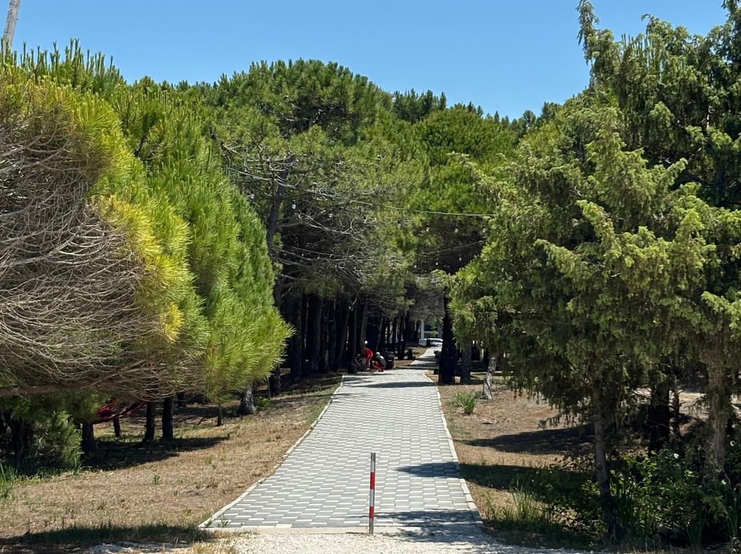 Amber Hotel Albania 阿尔巴尼亚琥珀酒店主图