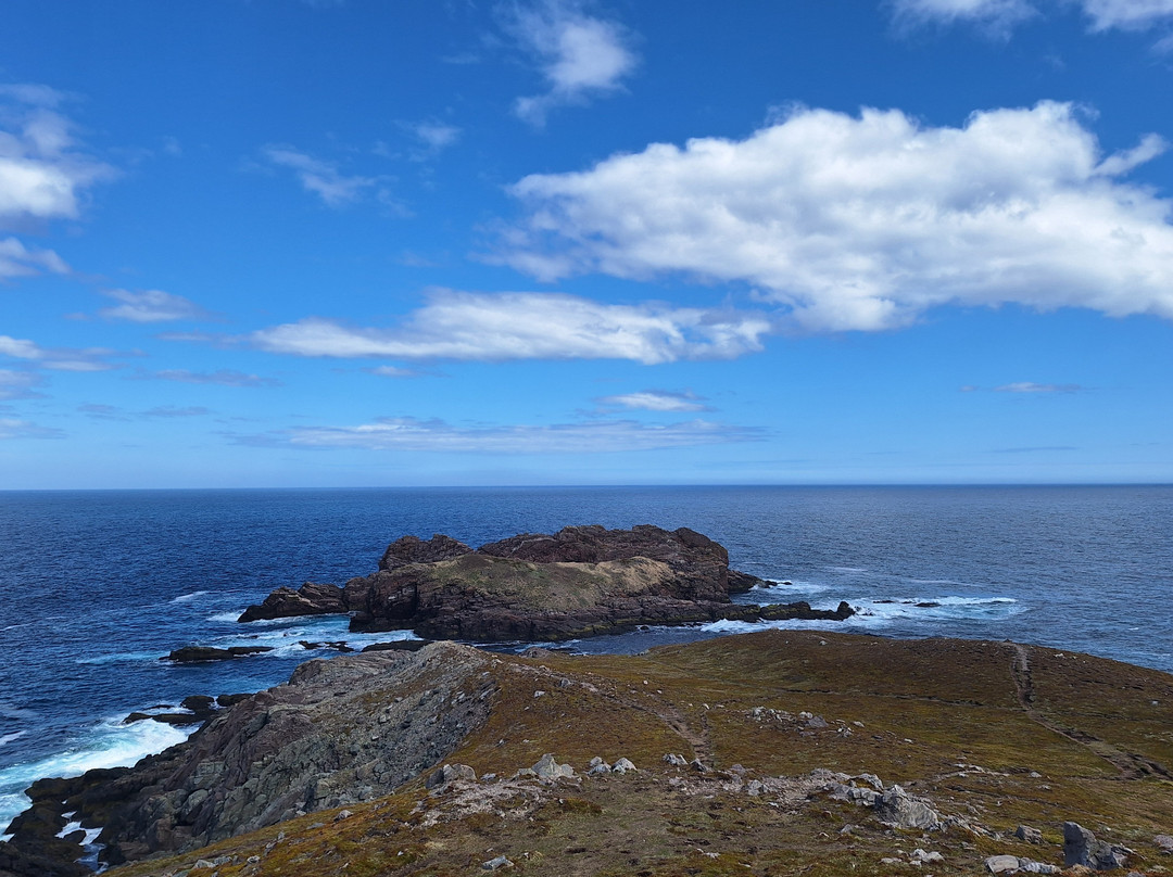 Ferryland Town-Ferryland必去景点