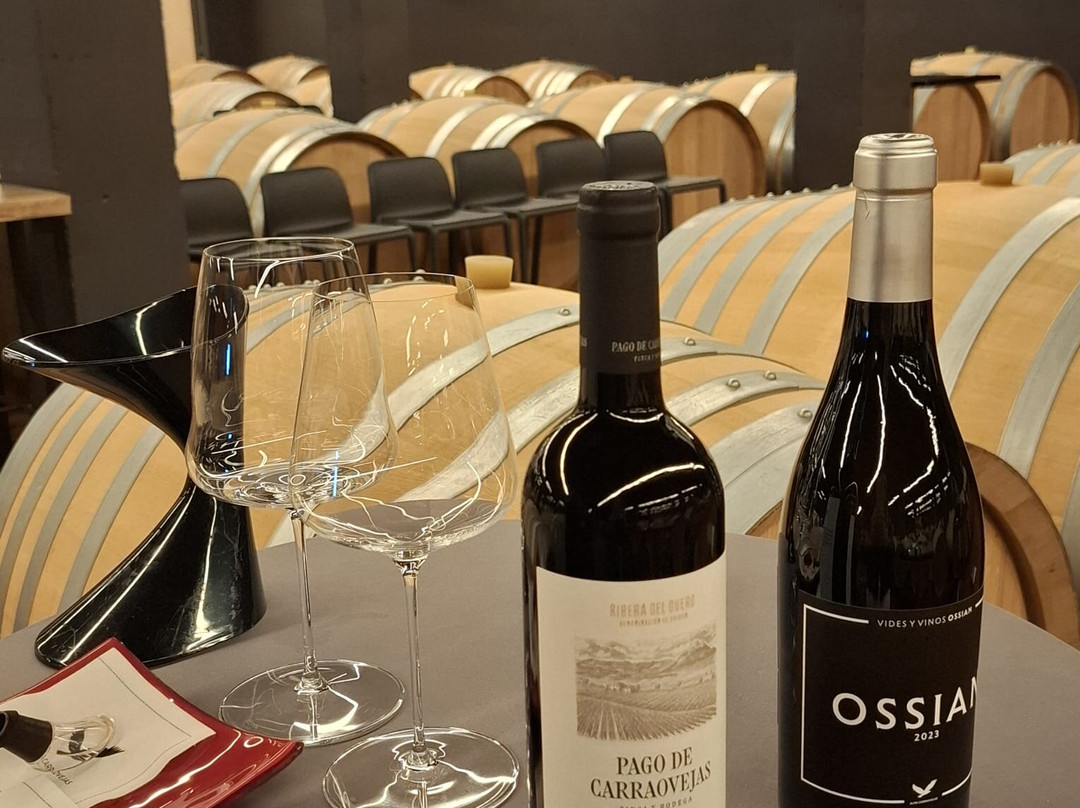 Pago de Carraovejas Winery-Penafiel必去景点
