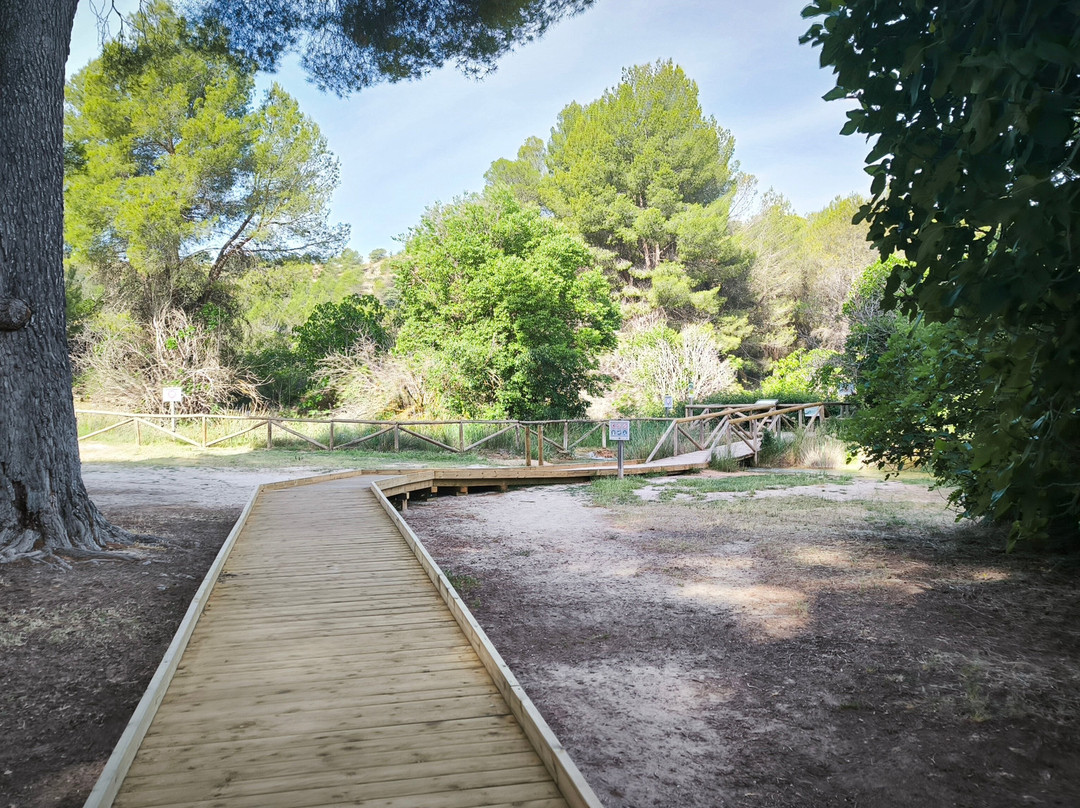 Parque Natural de las Lagunas de Ruidera-Ruidera必去景点