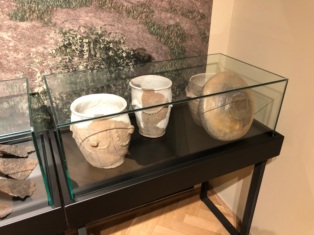 Complexul Muzeal Arad - Archaeology-History Section-阿拉德必去景点