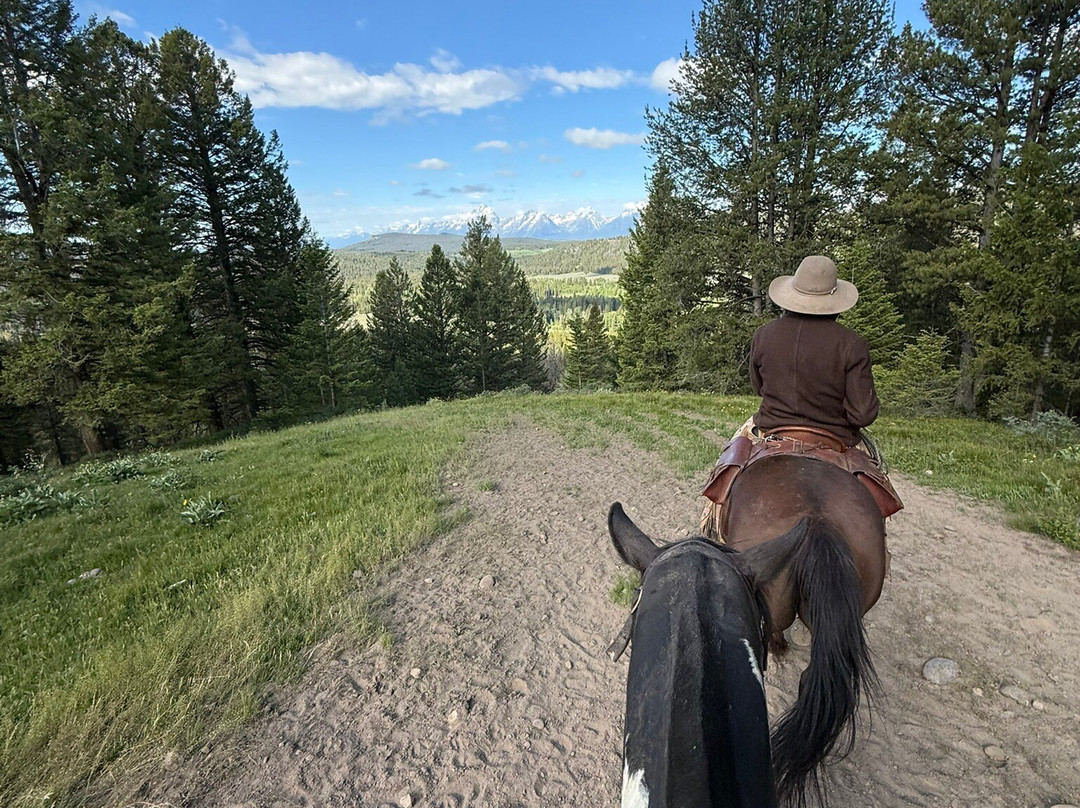 Swift Creek Outfitters & Teton Horseback Adventures-莫兰必去景点