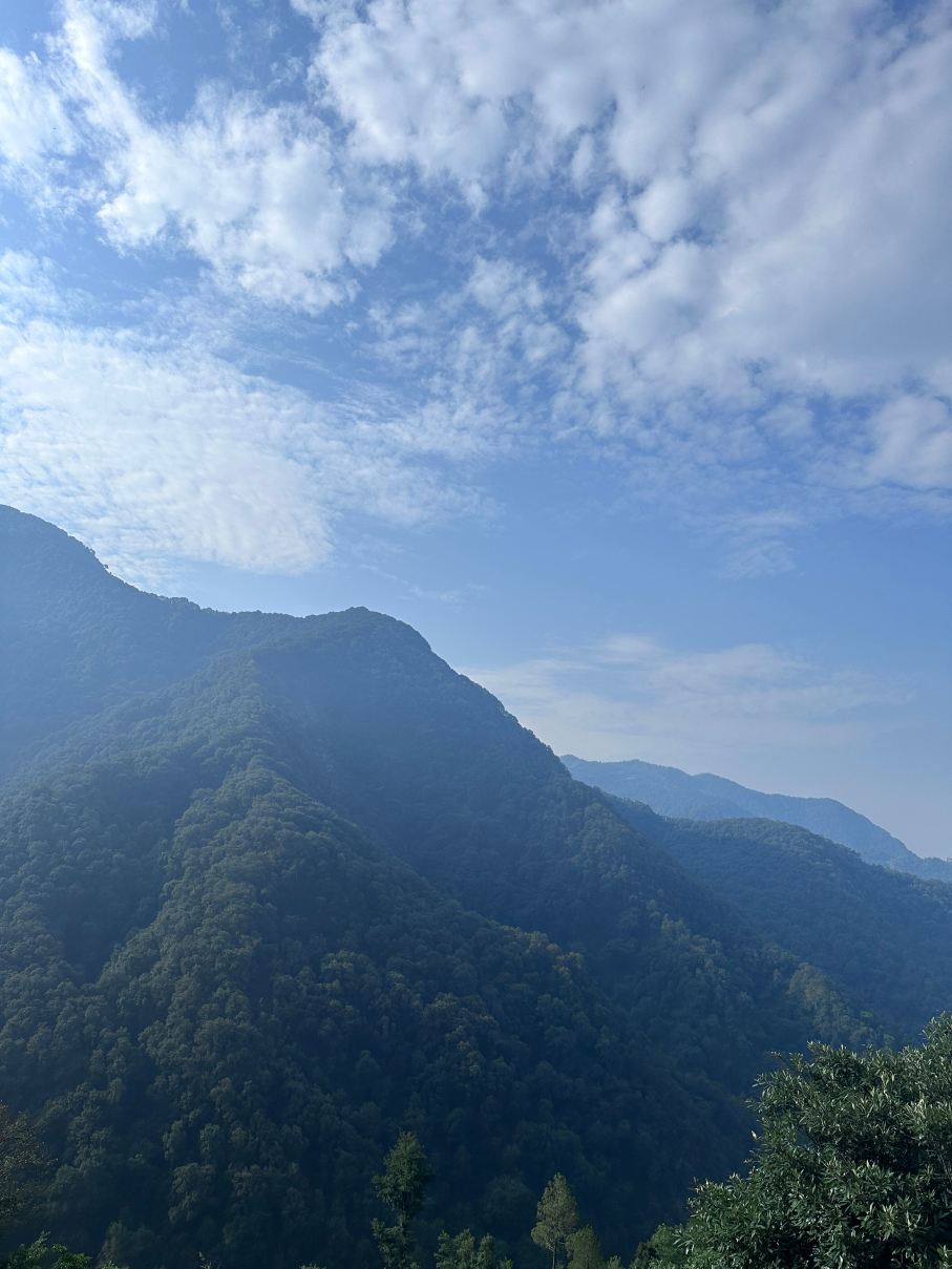 坡贡特胜地-旅行者