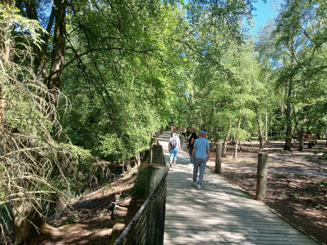 Parc Zoologique Cerza-Hermival-les-Vaux必去景点