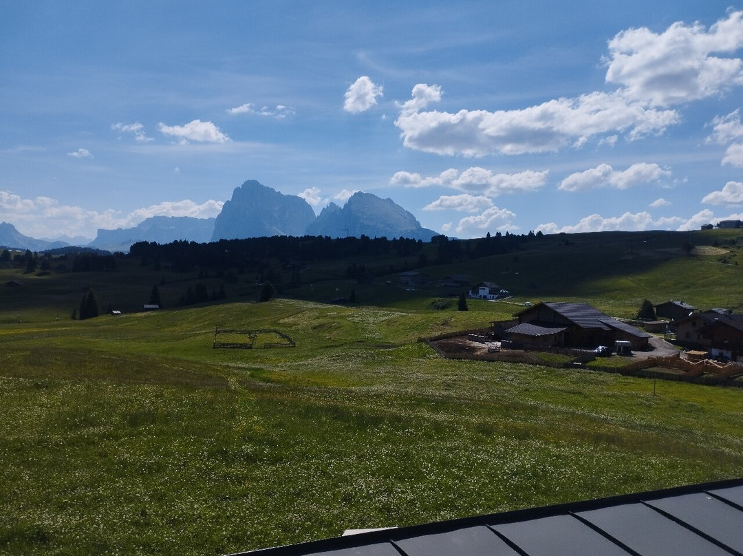 Seiser Alm Bahn - Cabinovia Alpe di Siusi-Alpe di Siusi必去景点