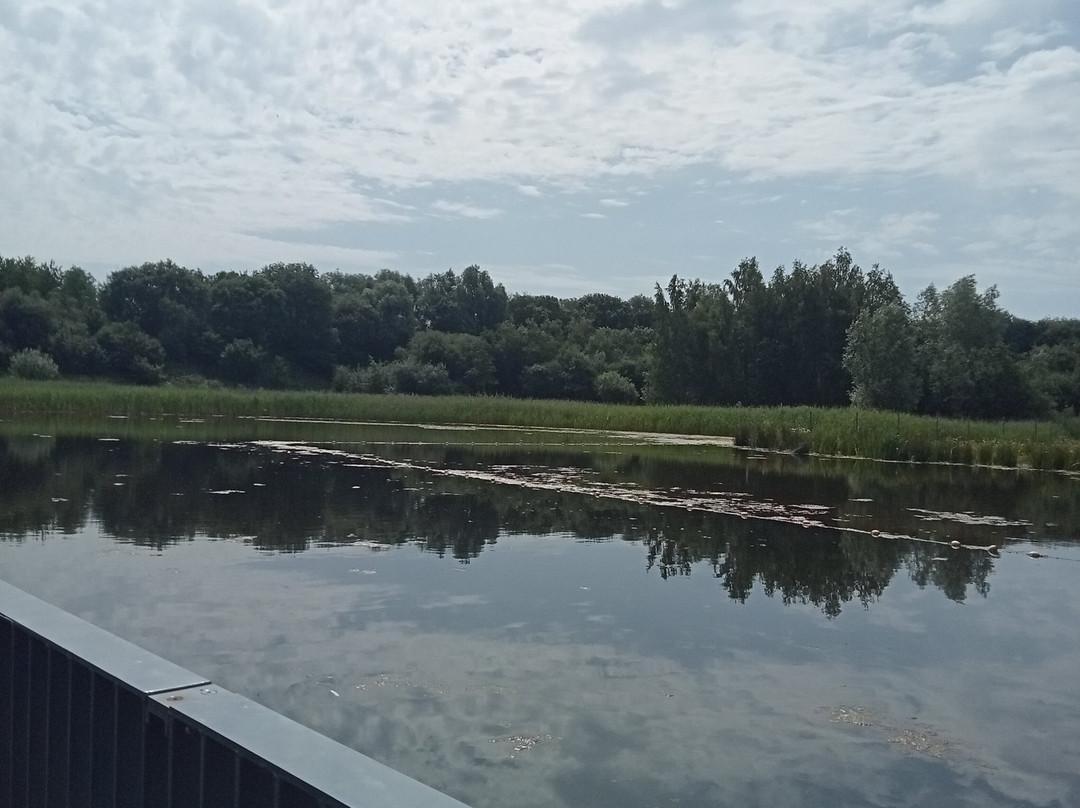 Brockholes Nature Reserve-普雷斯顿必去景点