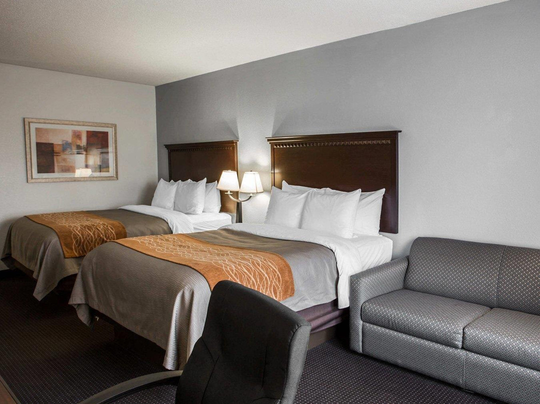 Saint Pauls酒店住宿-Comfort Inn & Suites Lumberton Central I-95