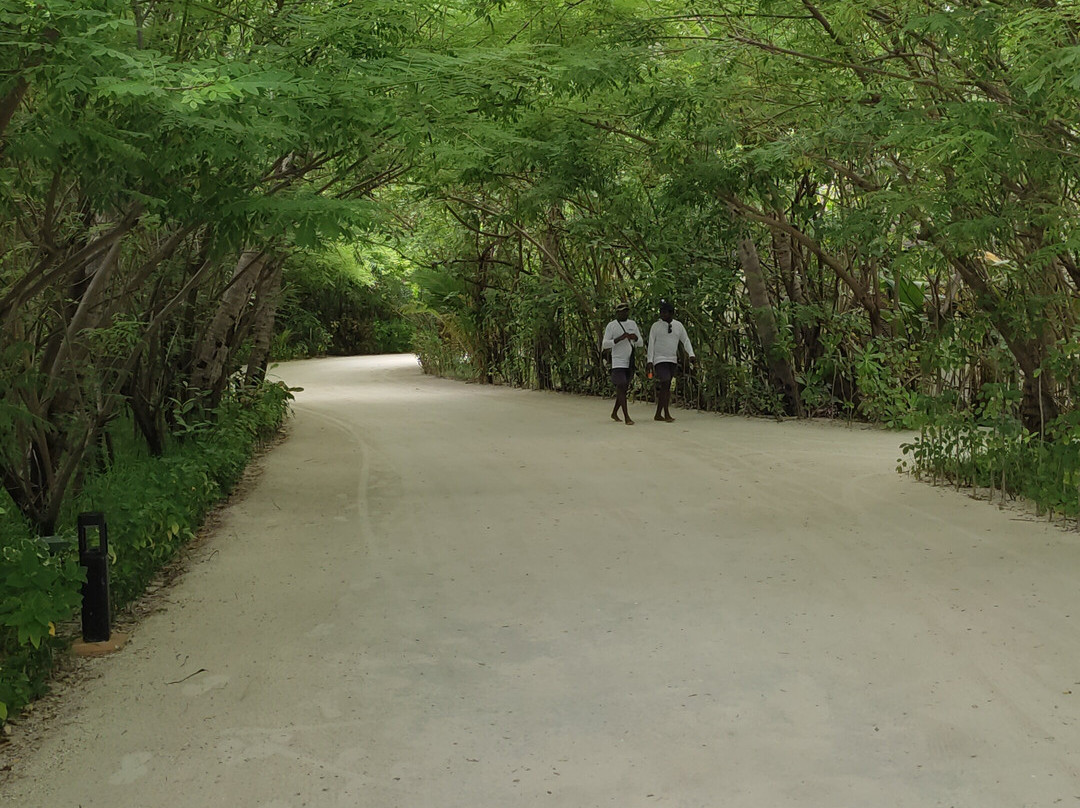 TUI BLUE Olhuveli Romance主图