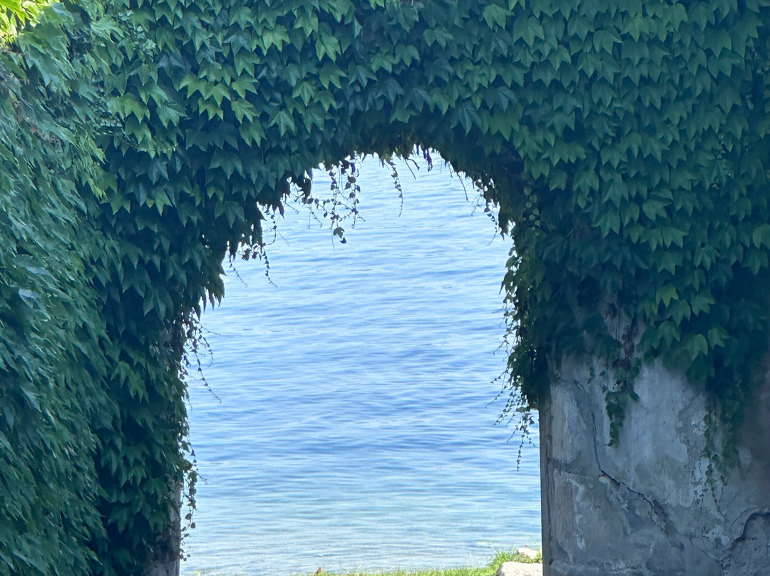 Galerie Erlas-特劳恩克申必去景点
