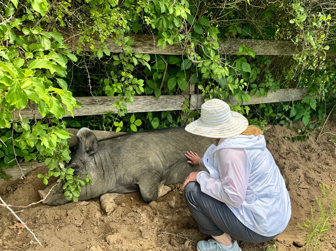Catskill Animal Sanctuary-Saugerties必去景点