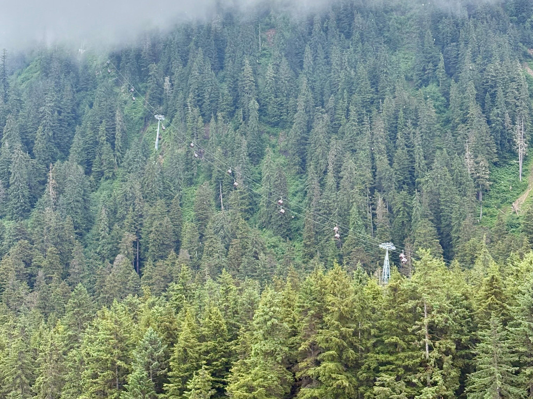 Icy Strait Point-胡纳必去景点