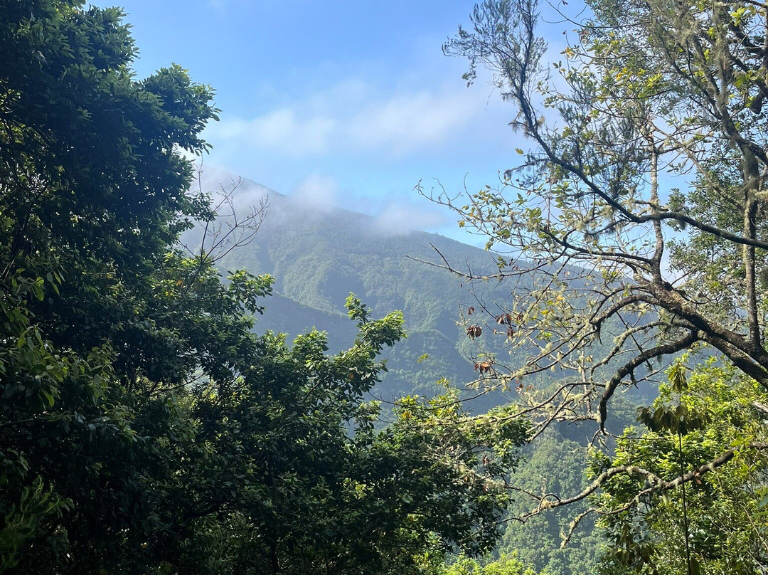 PR11 Vereda dos Balcões-Ribeiro Frio必去景点