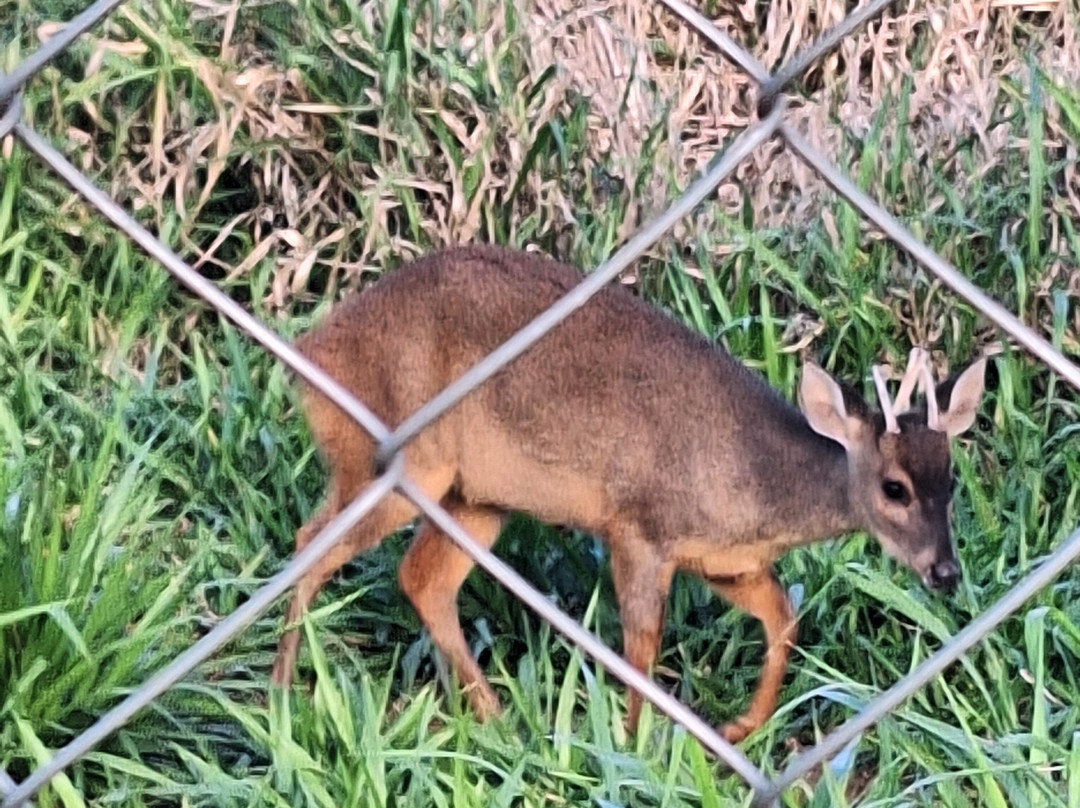 Bio Park-博尼图必去景点