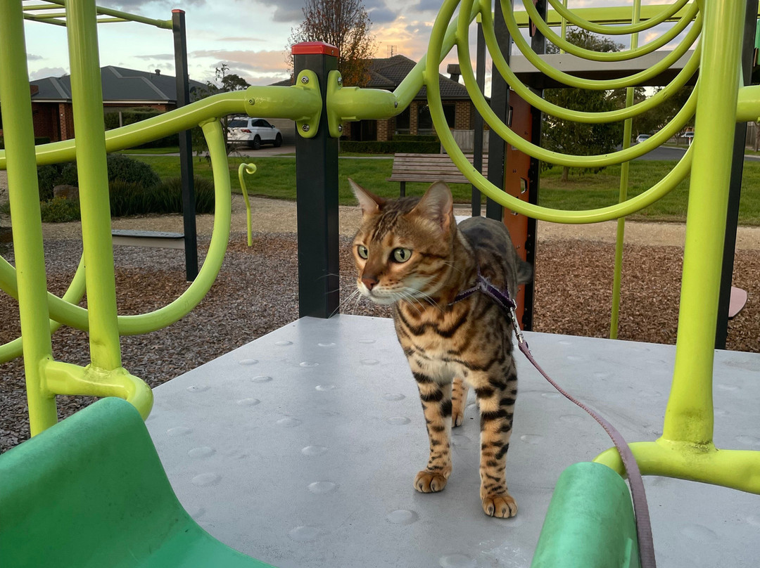 Drayton Park Playground-塞尔必去景点