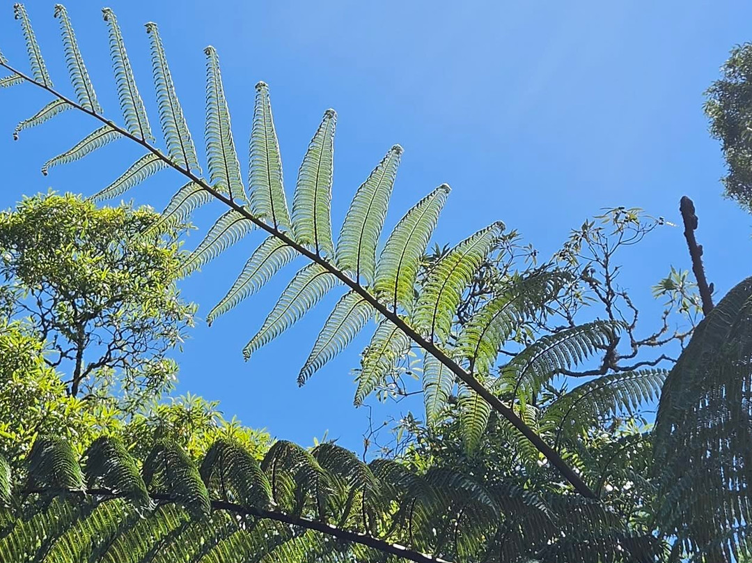 Parque Natural da Ribeira dos Caldeirões-Achada必去景点