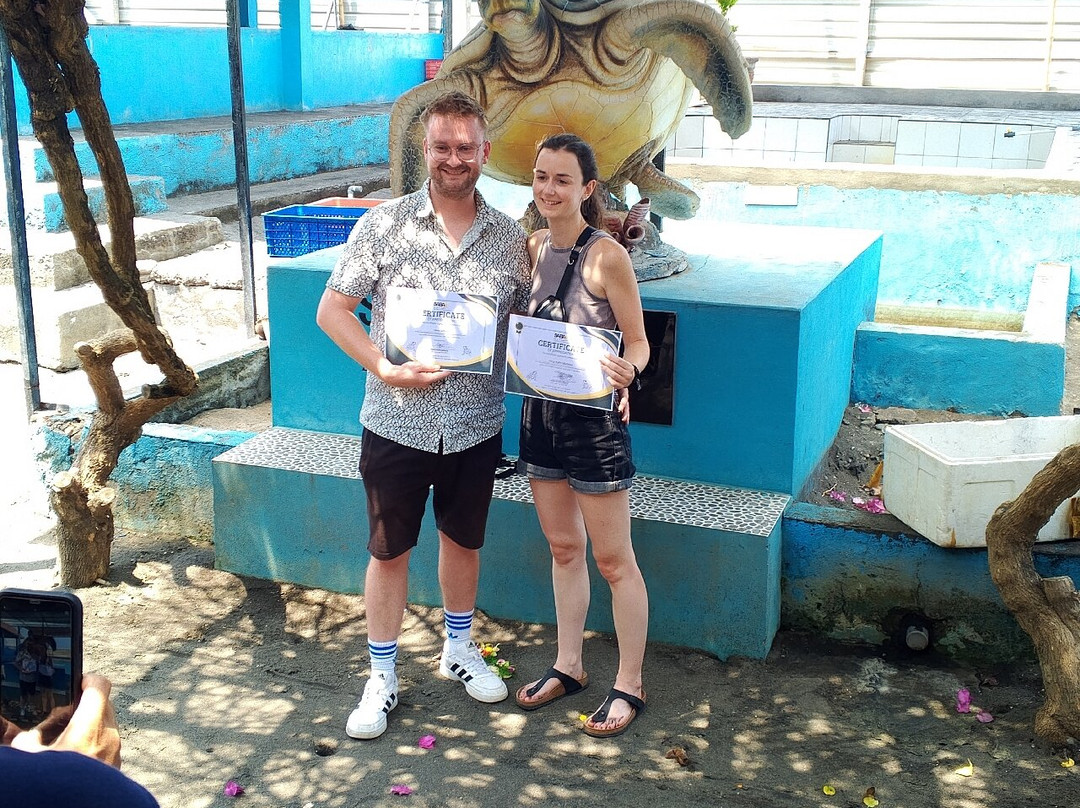 Saba Asri Turtles Conservation