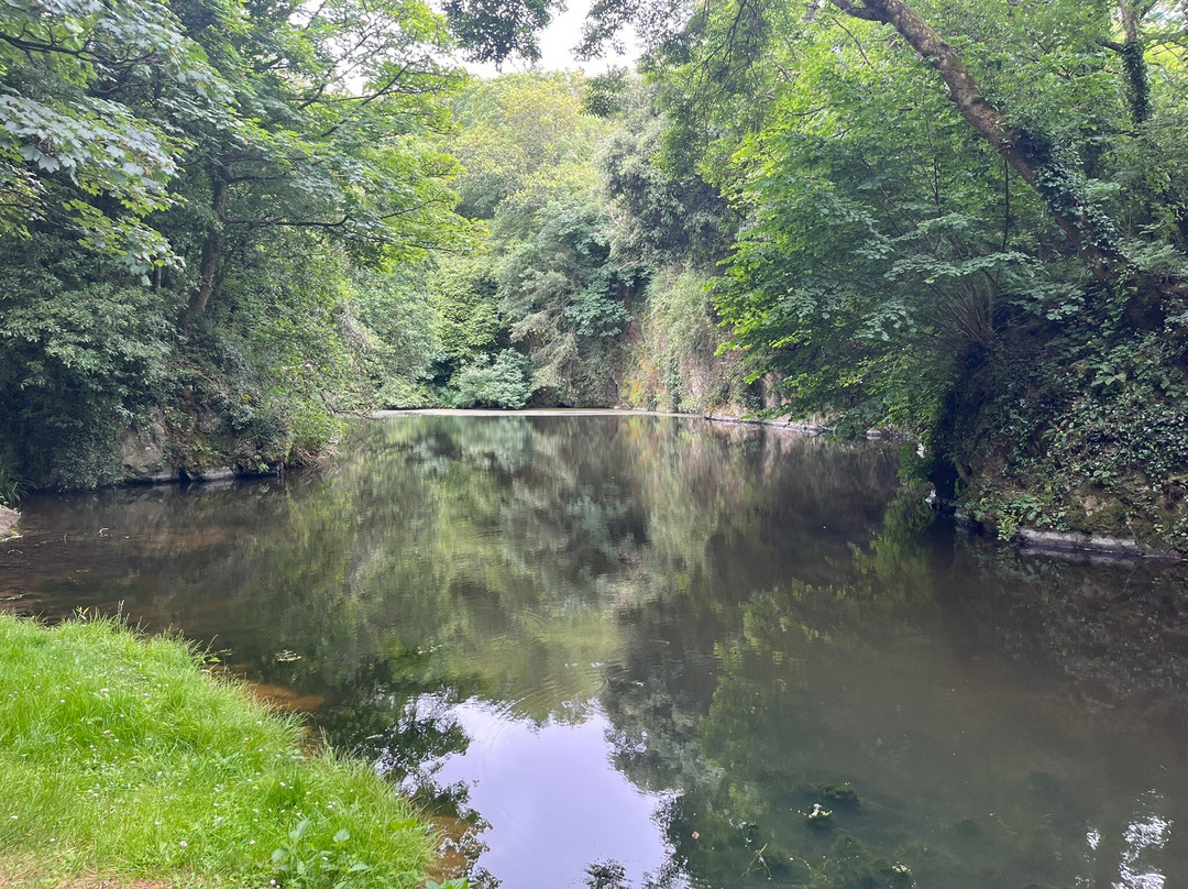 Bonython Estate Gardens-赫尔斯顿必去景点