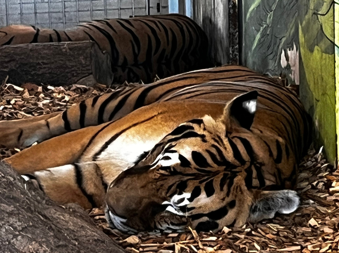 Wolds Wildlife Park-Horncastle必去景点