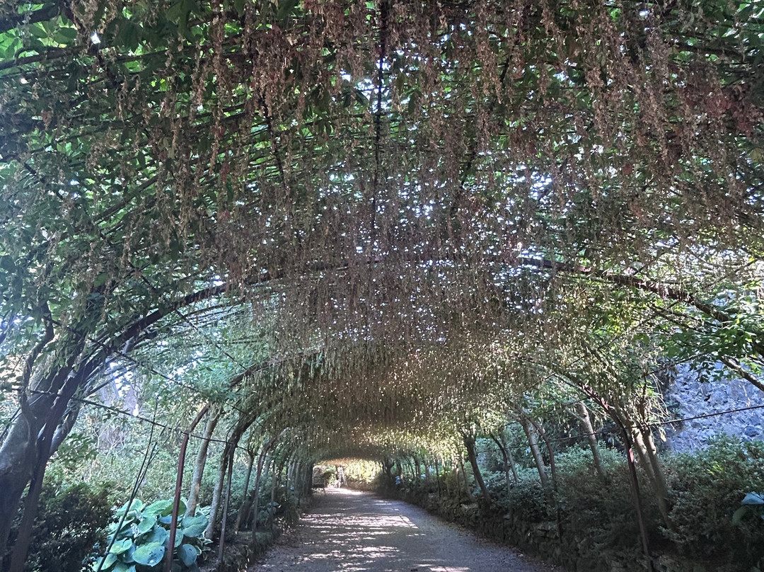 Bodnant Garden-Tal-y-Cafn必去景点