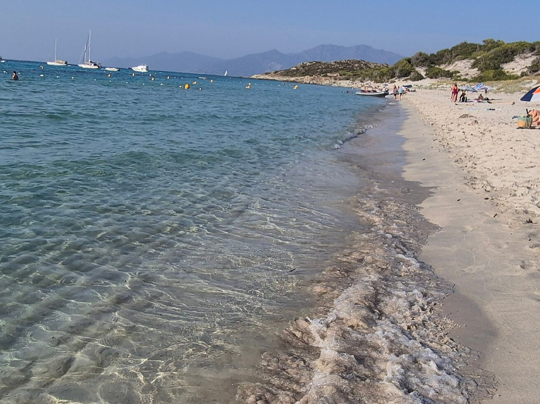 Plage de Saleccia-Santo-Pietro-di-Tenda必去景点