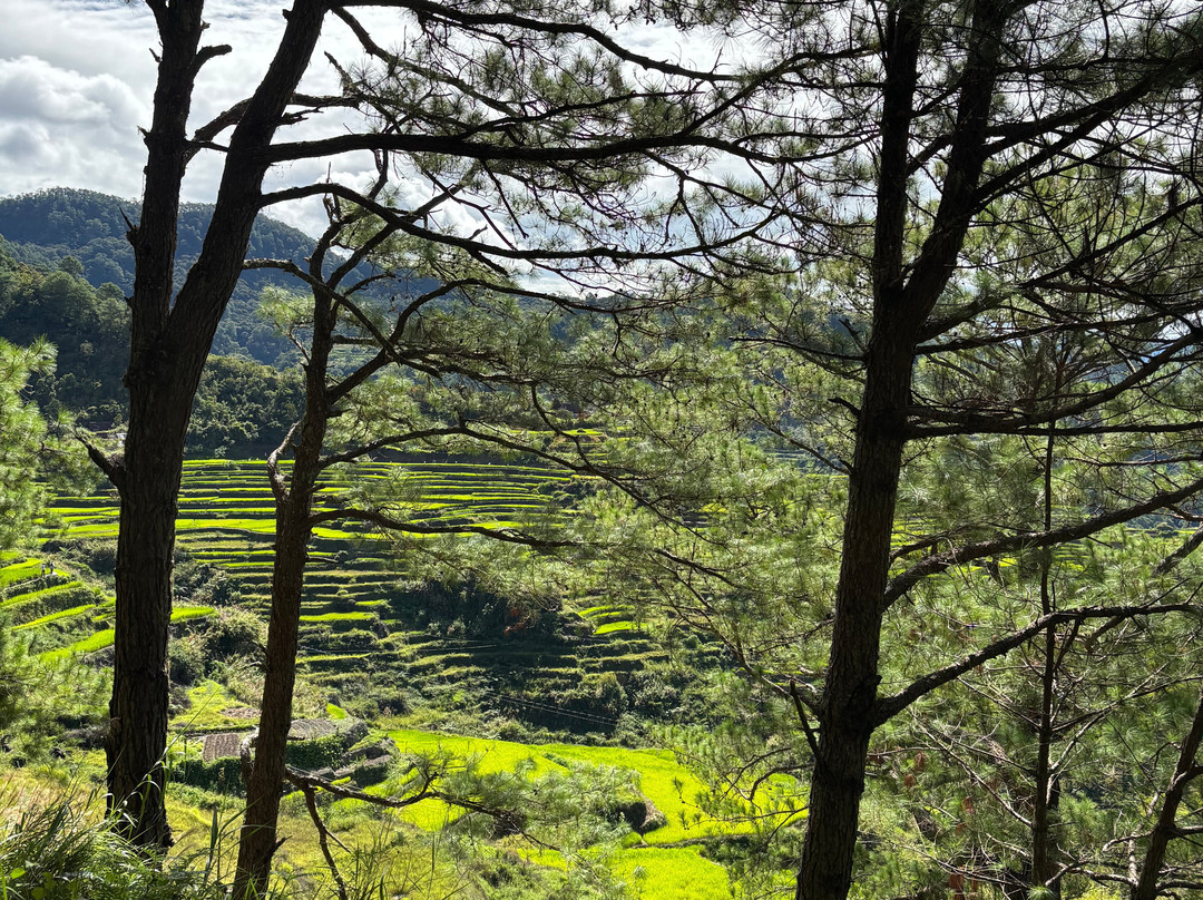 Maligcong Rice Terraces-Bontoc必去景点