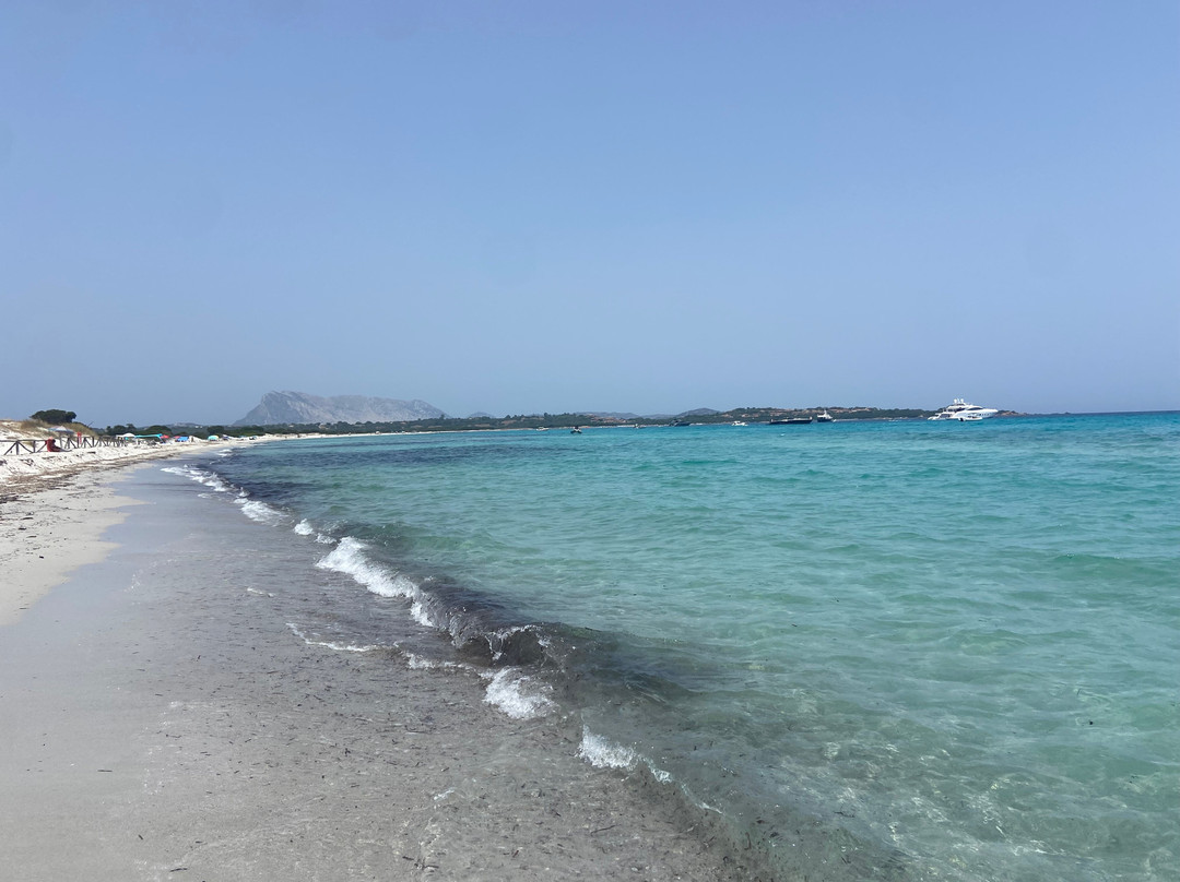 Spiaggia La Cinta-San Teodoro必去景点