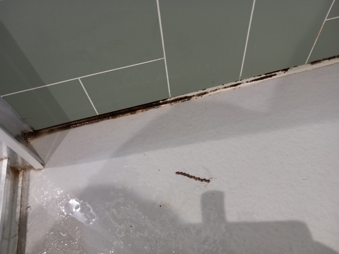 布伦海姆宫小屋隐居处