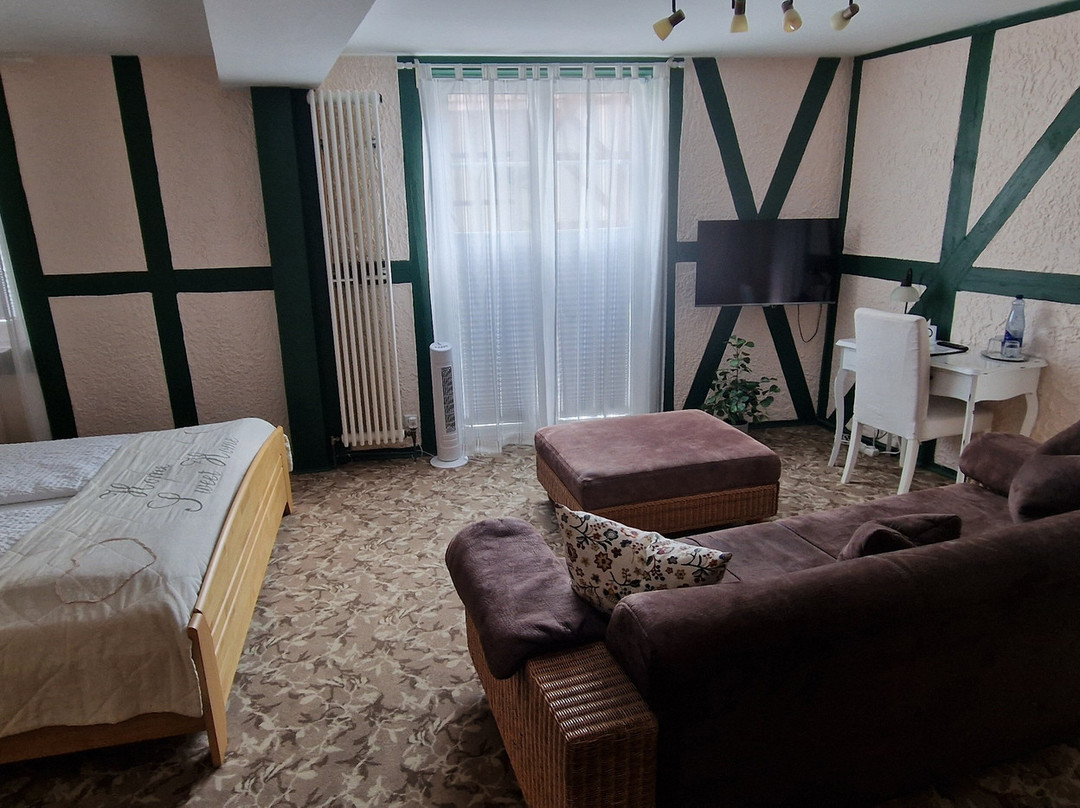 Pension Alte Scheune旅馆主图