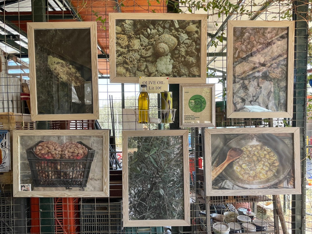 Snail Farm And Fun-Tylissos必去景点