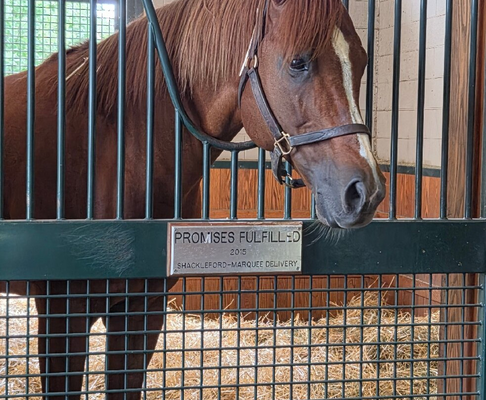 WinStar Farm-Versailles必去景点