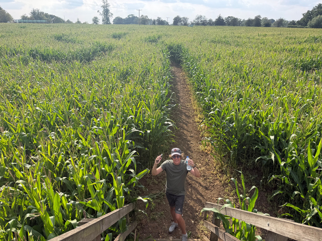 Wistow Maze-Wistow必去景点
