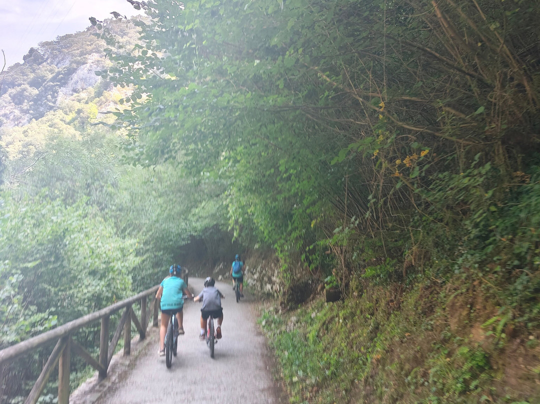 Senda Del Oso Experience - Teverastur-Teverga Municipality必去景点