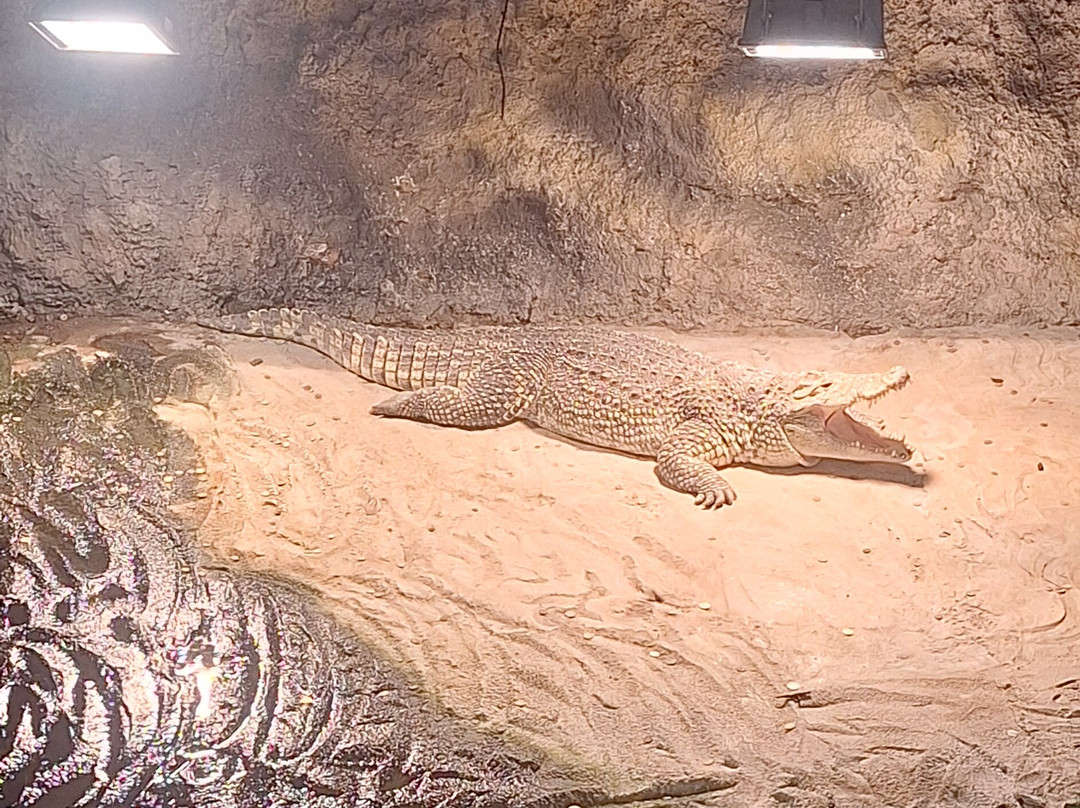 Zoo Zagreb-萨格勒布必去景点