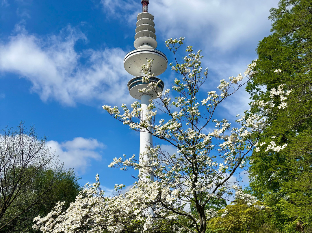 汉堡植物园-汉堡必去景点