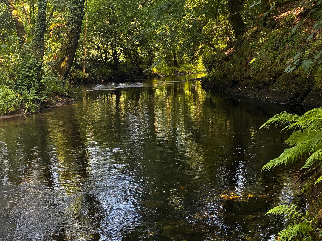 Rilla Mill and Plushabridge circular walk-Upton Cross必去景点