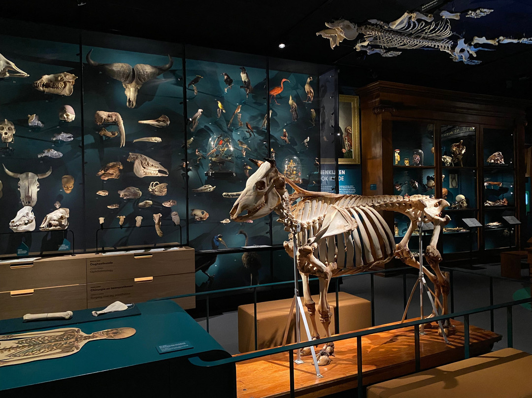 Universiteitsmuseum Utrecht-乌特勒支必去景点