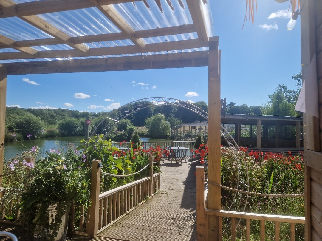 Lakeside Tea Room At Harperley