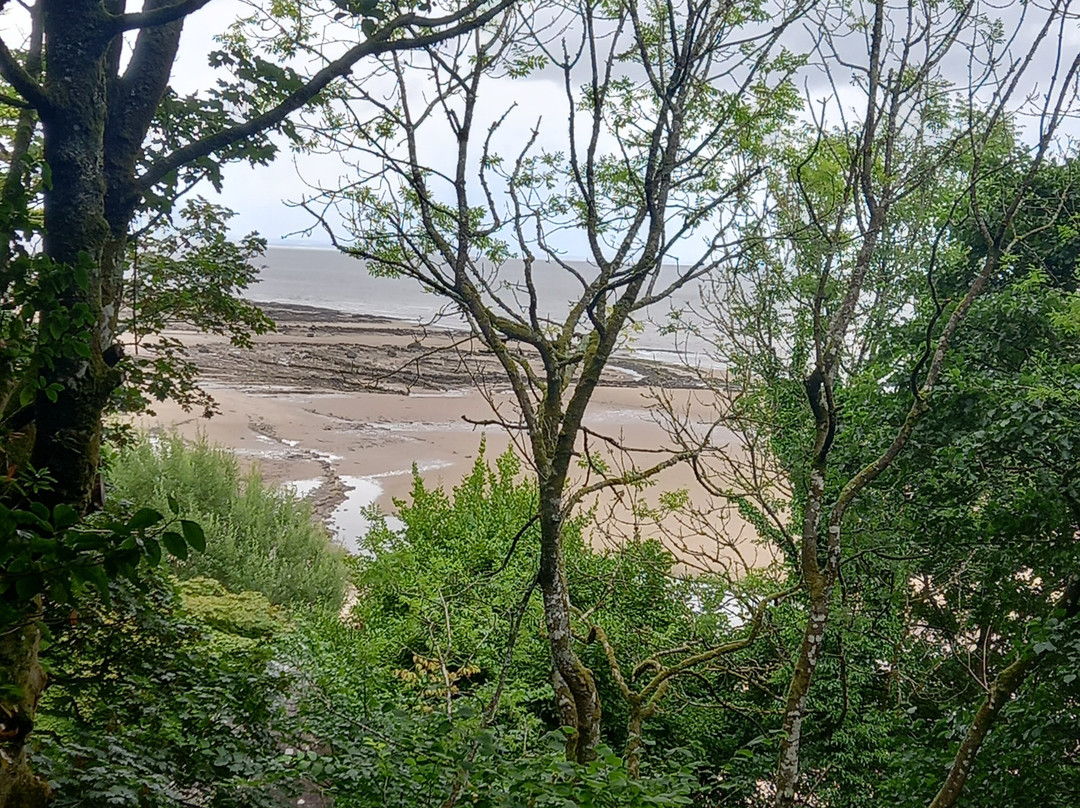 Arbigland House and Gardens-邓弗里斯必去景点