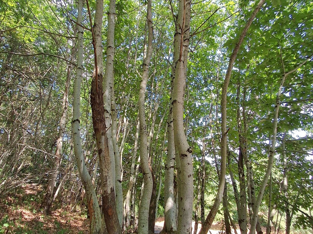 Les Pierres Jaumâtres-Toulx-Sainte-Croix必去景点