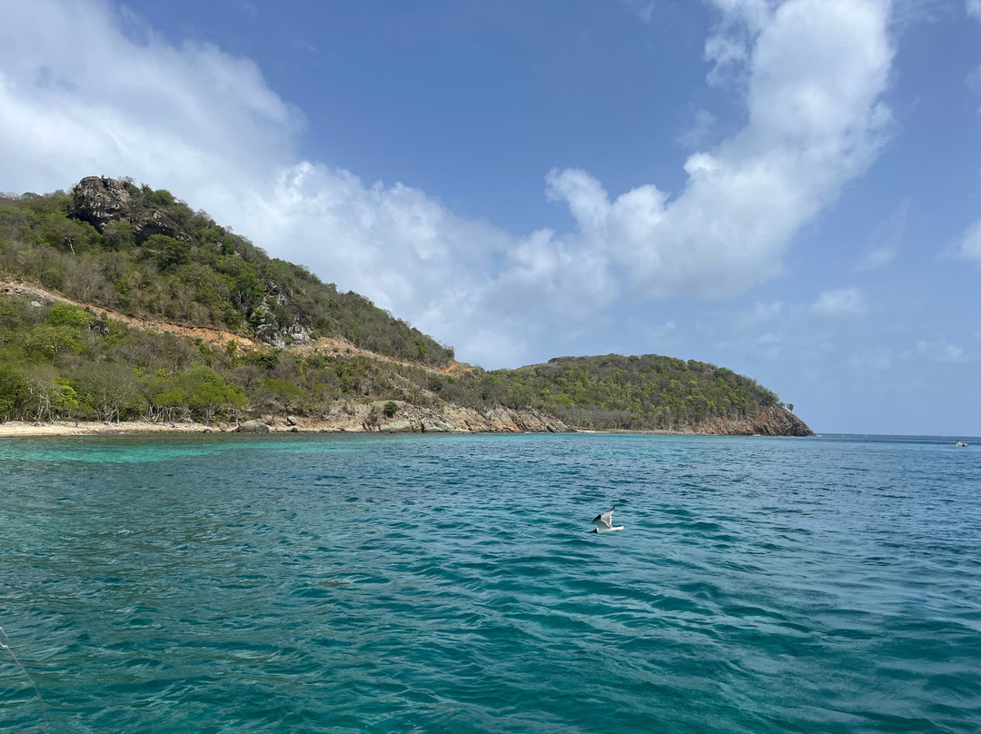 Catch The Cat - Private Sailing Charters-Jolly Harbour必去景点