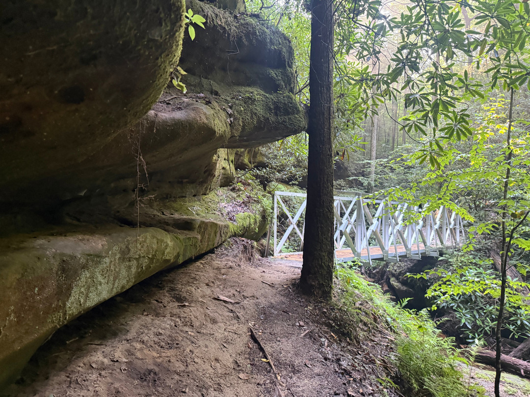 Pickett CCC Memorial State Park-Jamestown必去景点