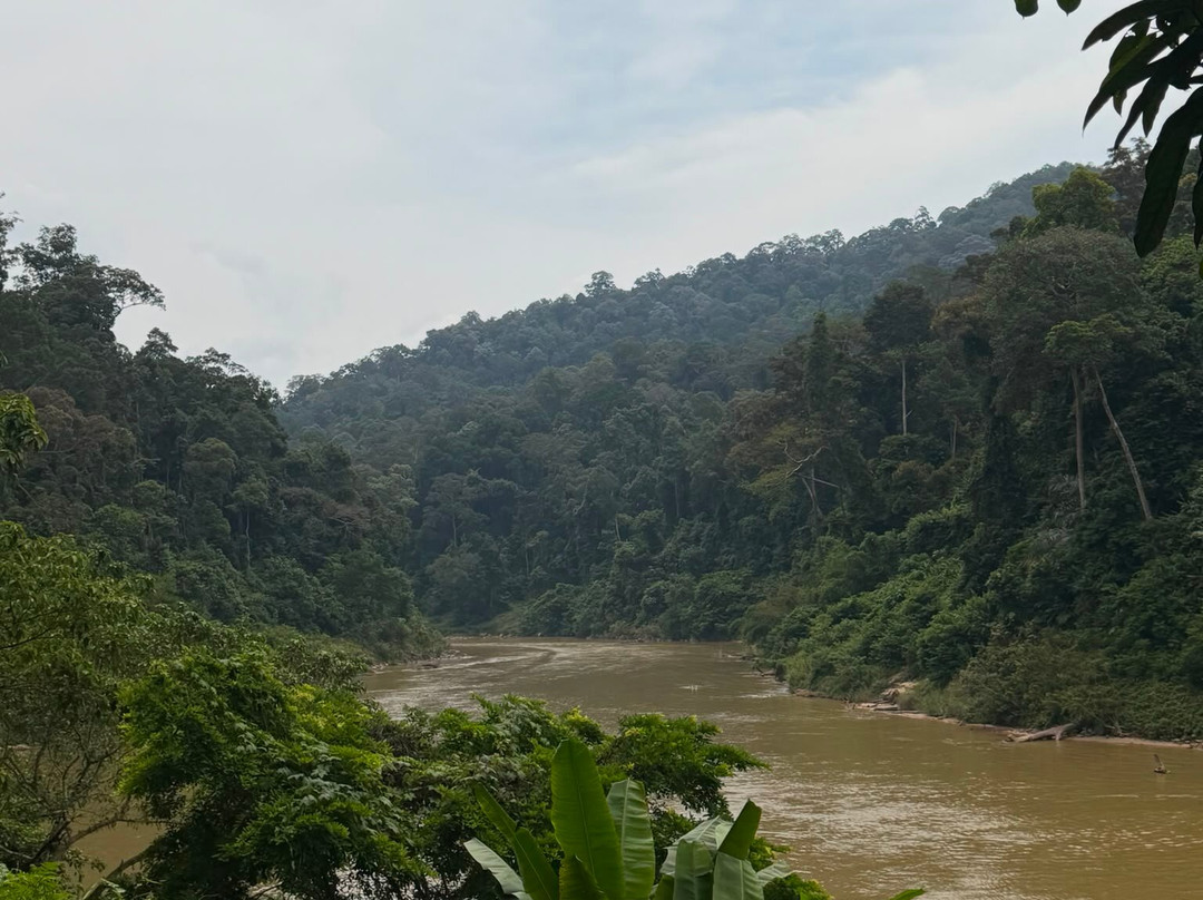 Taman Negara National Park-彭亨必去景点